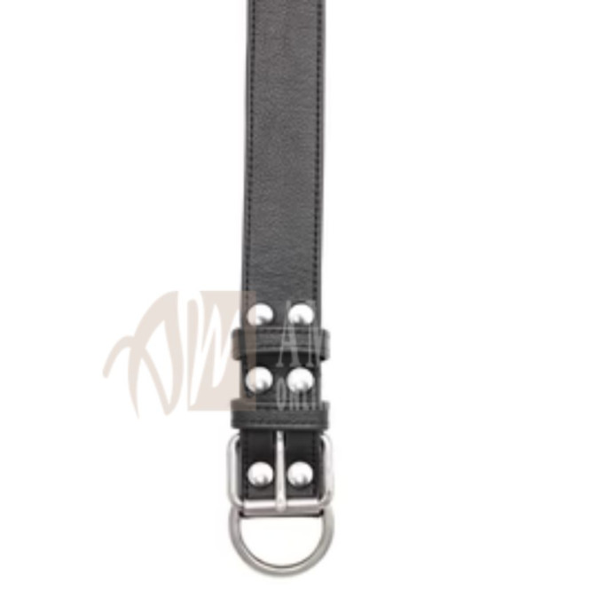 Classic Wide Collar – Stainless Steel | Premium Leather, Bold Design, Built for Comfort