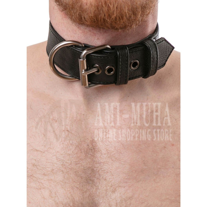 Classic Wide Collar – Stainless Steel | Premium Leather, Bold Design, Built for Comfort