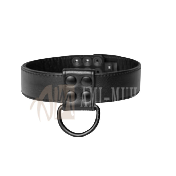 D-Ring Collar – Black | Premium Leather, Minimalist Design, Built to Last
